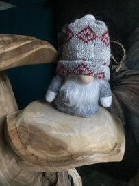 Kleine gnome grijs