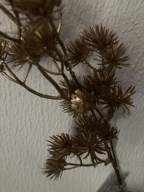 Queen Anne lace spray goud