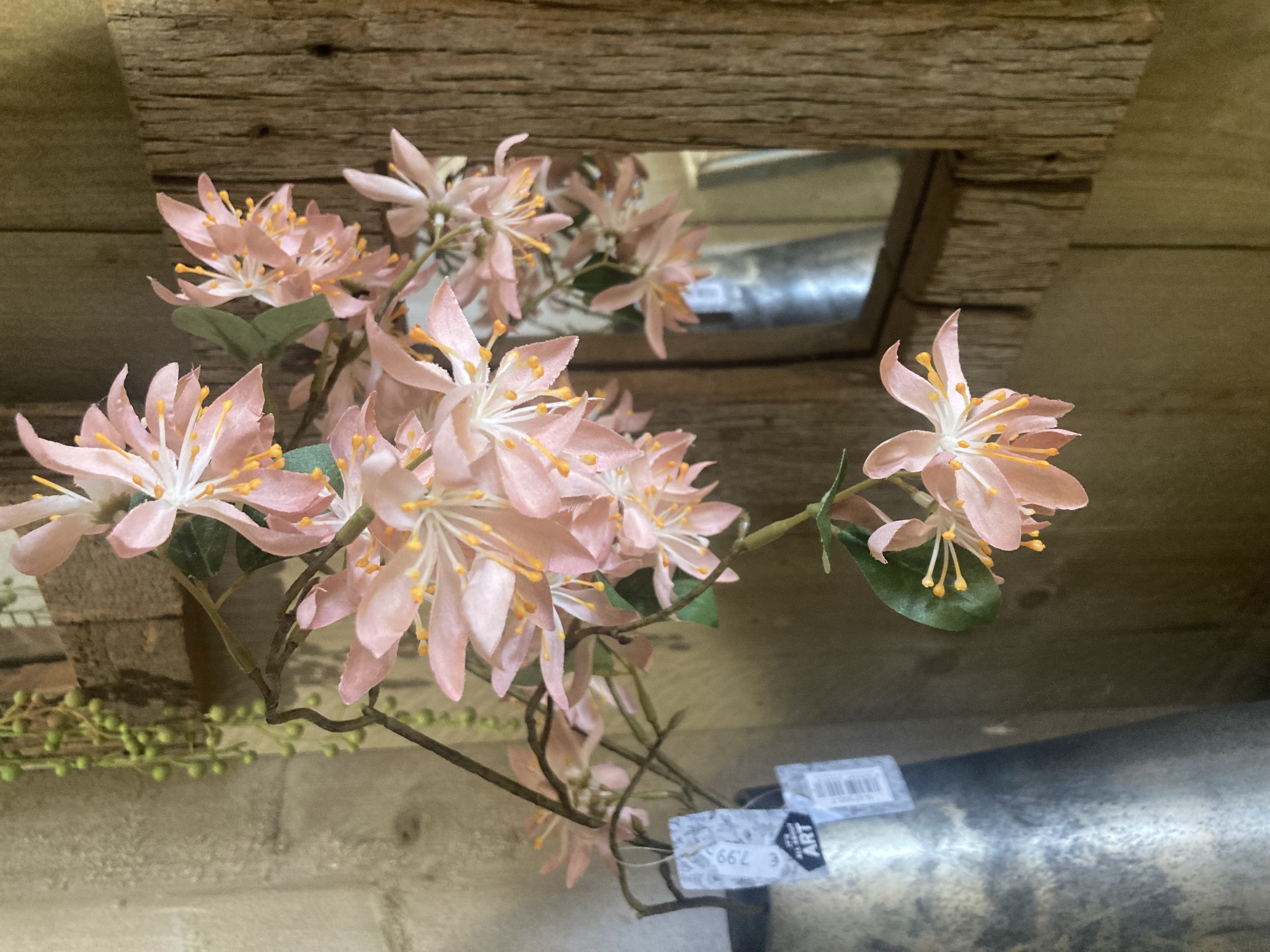 Wild clematis spray