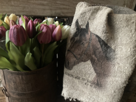 Shabby doek paard