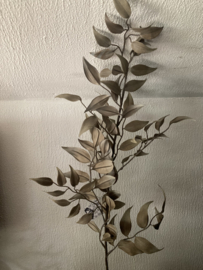 Ruscus Leaf grey