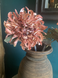 Mum spray pink