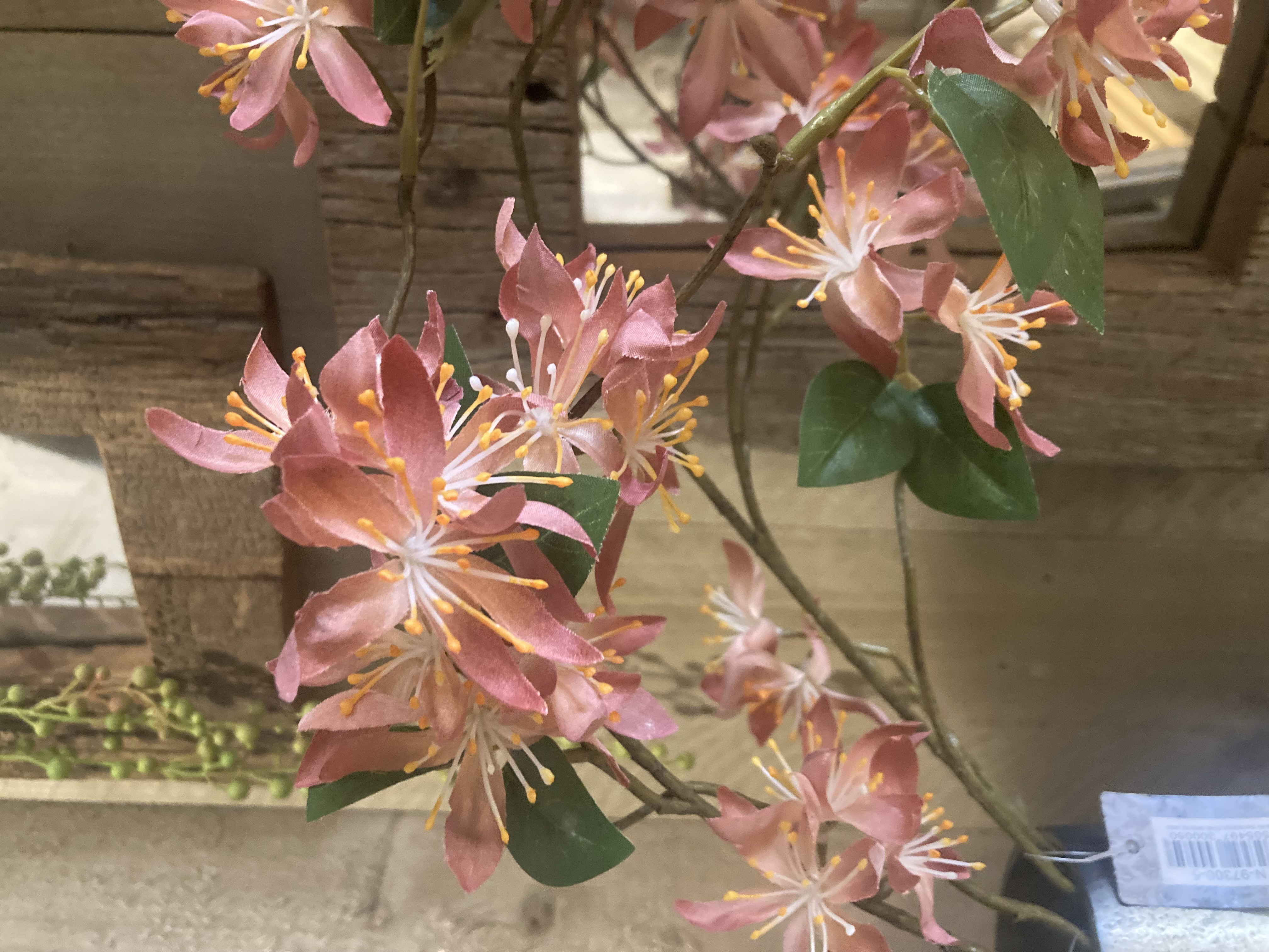 Wild clematis spray pink