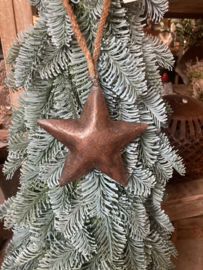 Metalen ster 12 cm