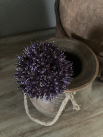 Allium kunst