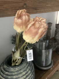 Tulp papegaai  sand