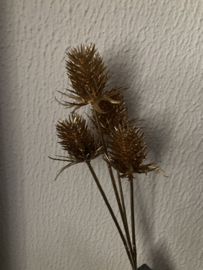 Distel kunst tak goud