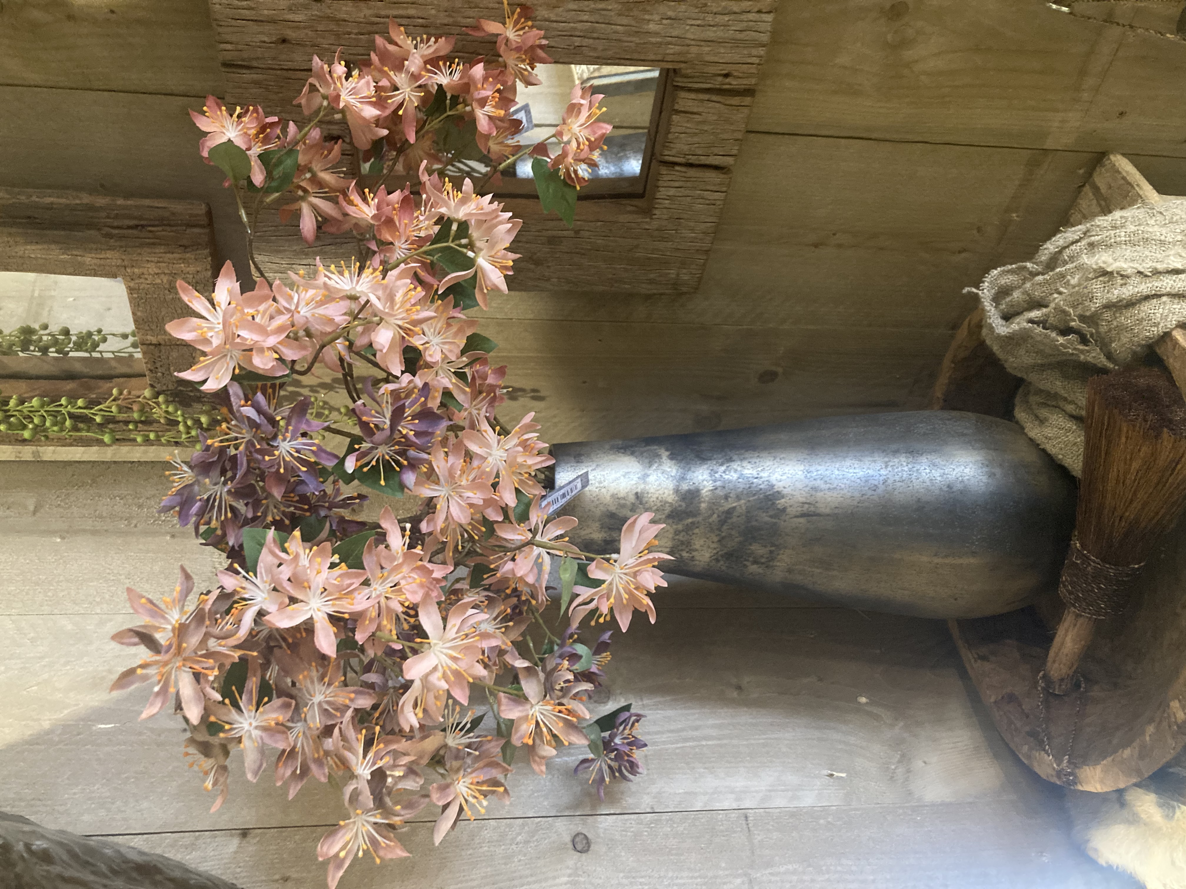 Wild clematis spray pink