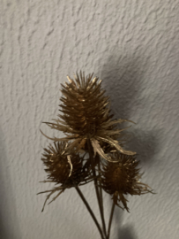 Distel kunst tak goud