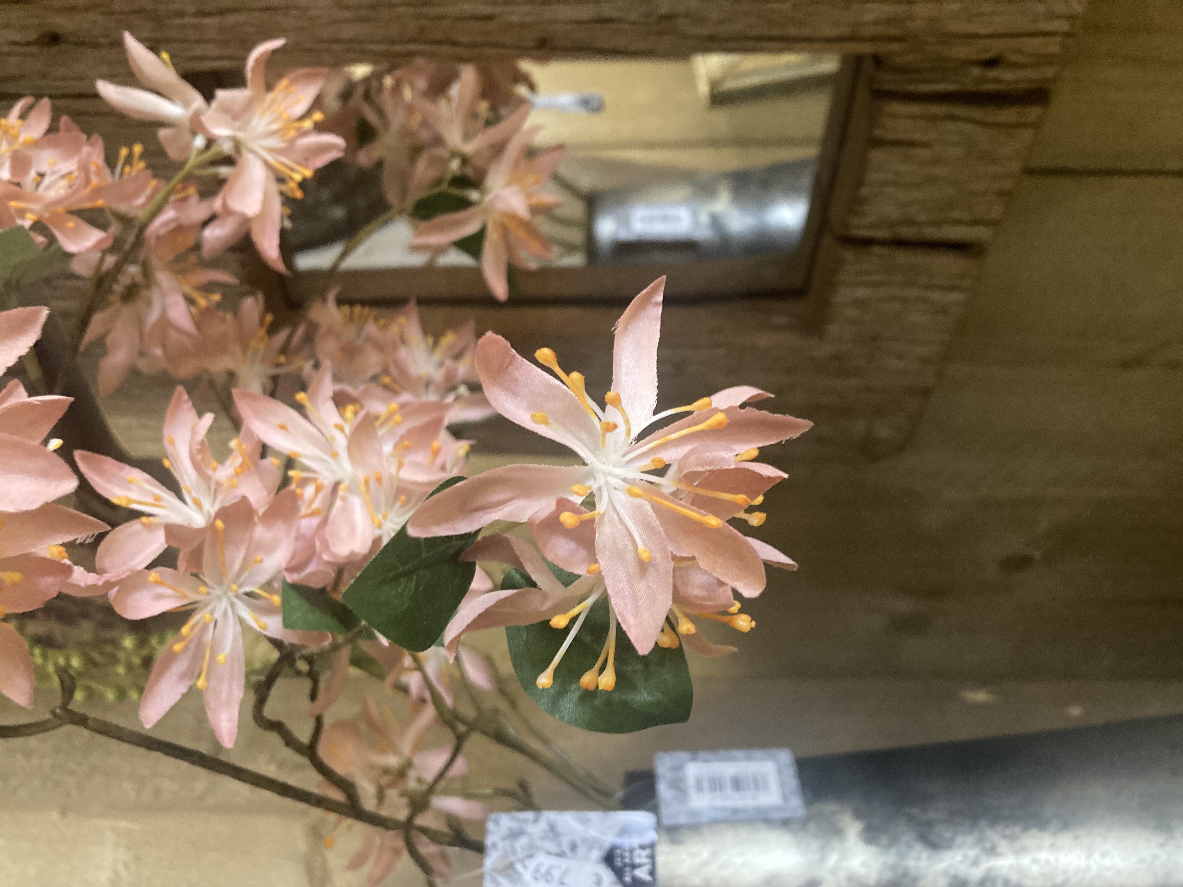 Wild clematis spray