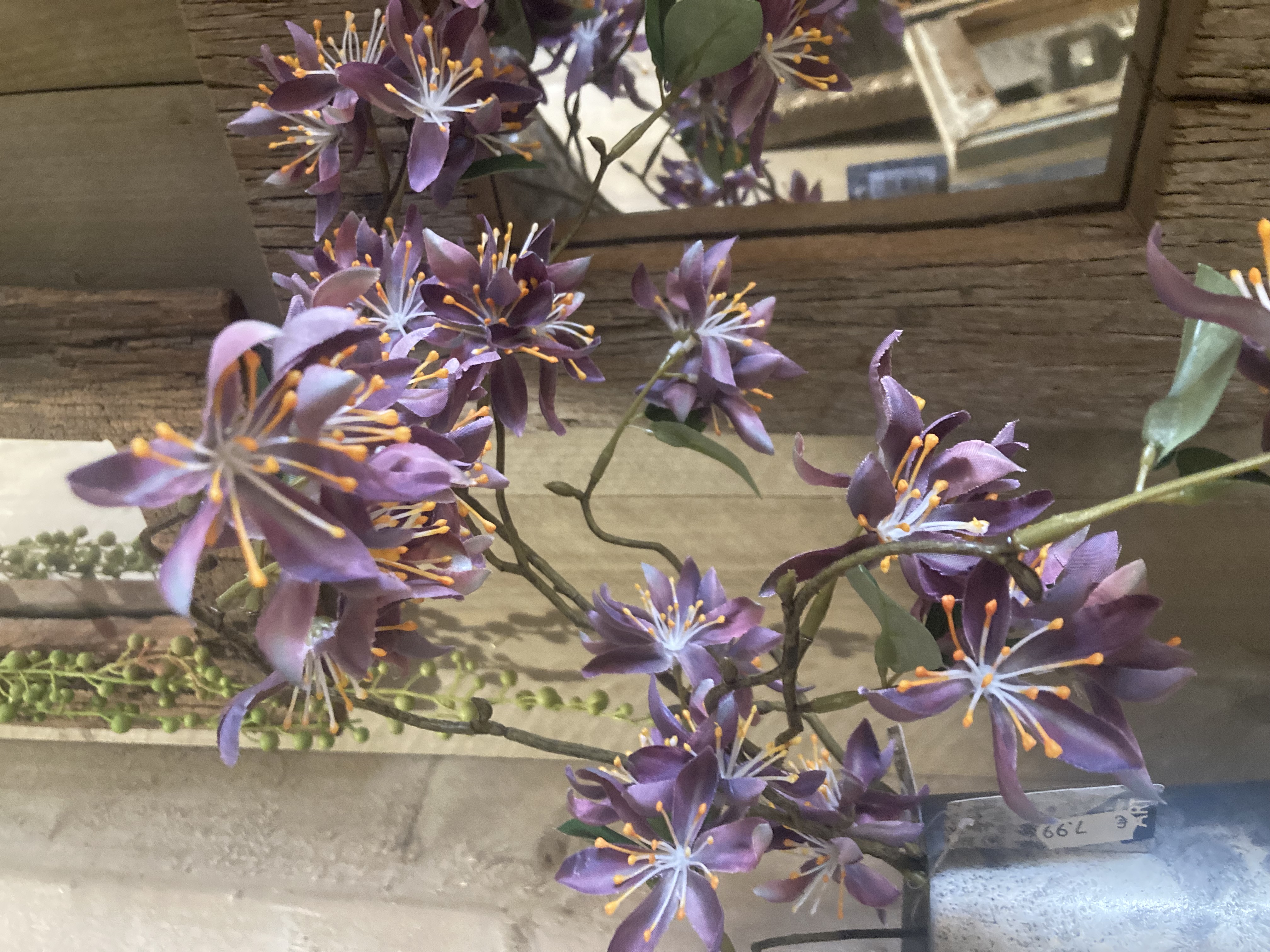 Wild clematis spray paars