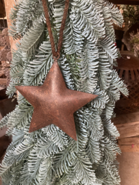 Metalen ster 15 cm