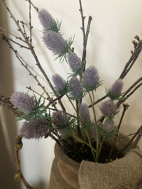 Distel paars kunst