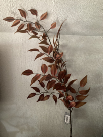 Ruscus Leaf Brown