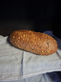 Puurbrood Desem XXL Pompoen