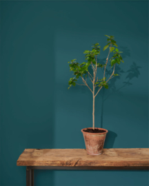 Wall Paint™ Aubusson Blue