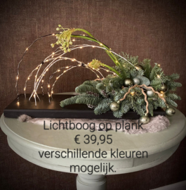 Lichtboog op plank