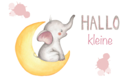 Hallo kleine meisje