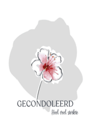 Geconcoleerd