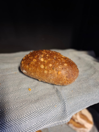 Batard pompoen