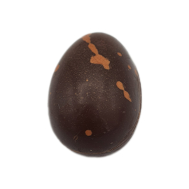 Caramel vanille