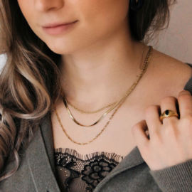 Gedraaide halsketting in Goud of Zilver