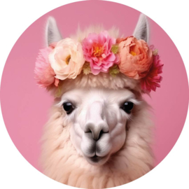 Wandcirkel Pink lama