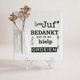 Tegeltje Lieve Juf bedankt dat je me hielp groeien