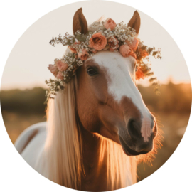 Muurcirkel Paard