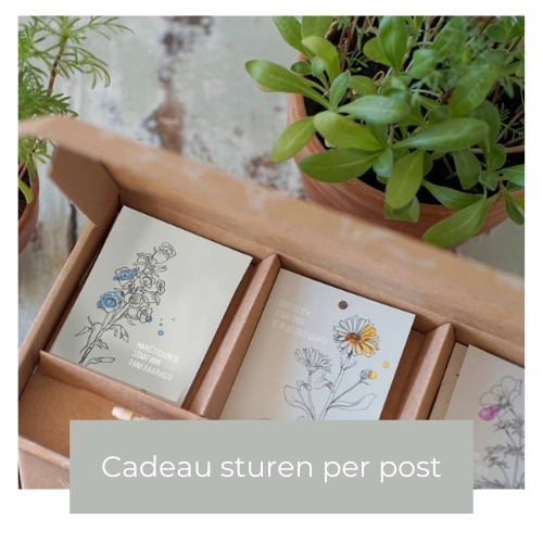 Verstuur liefde volle cadeau per post