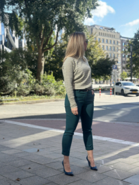 Chino Broek Evergreen