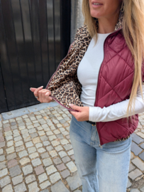 Gewatteerde Bodywarmer Burgundy