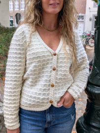 Cozy Vest / Trui