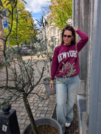 New York Sweater Burgundy