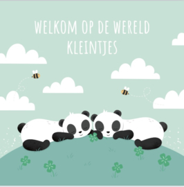 Welkom op de wereld kleintjes