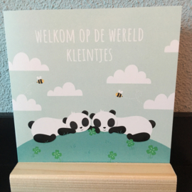Welkom op de wereld kleintjes