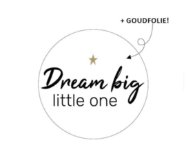 Sluitstickers "dream big little one"