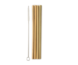 4 Bamboe rietjes met borstel