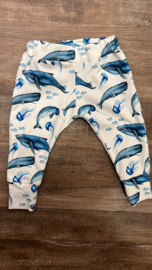 56 - sealife blue jogger