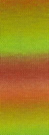 Lana grossa - MW 100gr color mix soft - 8061