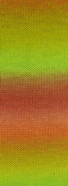 Lana grossa - MW 100gr color mix soft - 8061