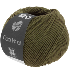 Cool Wool  - 1408