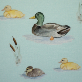 Tricot - Swafing - eend - In the pond  by Christiane Zielinski