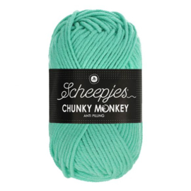 Scheepjes Chunky Monkey aqua 1422