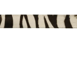 Band - 15 meter - zebra