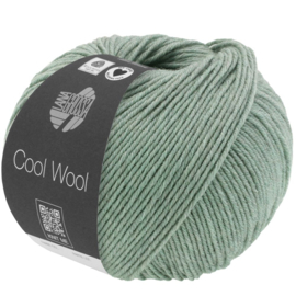 Cool Wool  - 1416