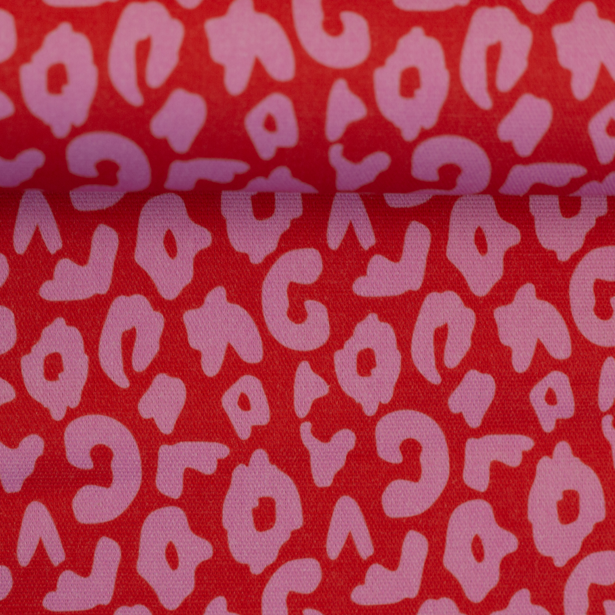 Canvas  happy leo - panter - By Cherry Picking