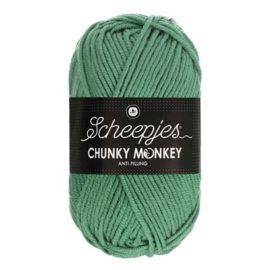 Scheepjes Chunky Monkey eucalyptus 1725