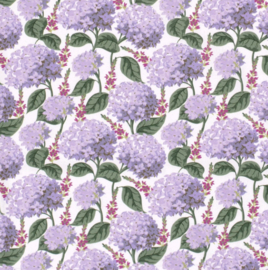 Katoen hortensia - lila