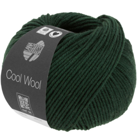 Cool Wool  - 1413